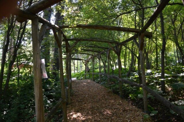 -CONCOURS PHOTO 2022-
Voici quelques photos de notre gagnant, Monsieur Ronald David! BRAVO & MERCI de nous avoir partagé vos belles images pour promouvoir le Jardin de François pour la cause !
Il nous fait plaisir de vous offrir un laissez-passer pour une visite en 2023!